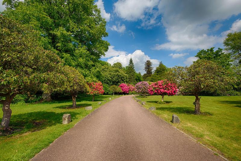 Best Western Chilworth Manor Hotel - Genel