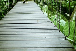The Mangrove by Blu Monkey fotoÄŸrafÄ±