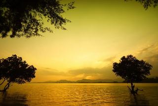 The Mangrove by Blu Monkey fotoÄŸrafÄ±