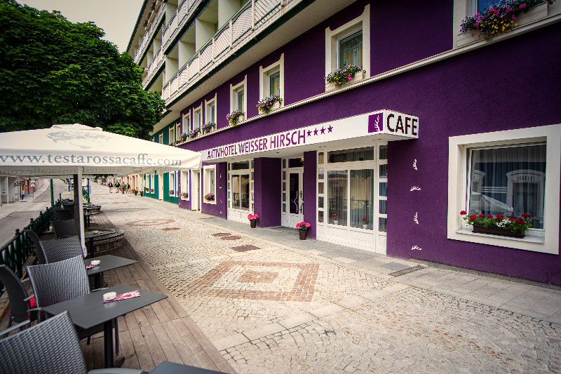 Aktivhotel Weisser Hirsch otel fotoğrafı