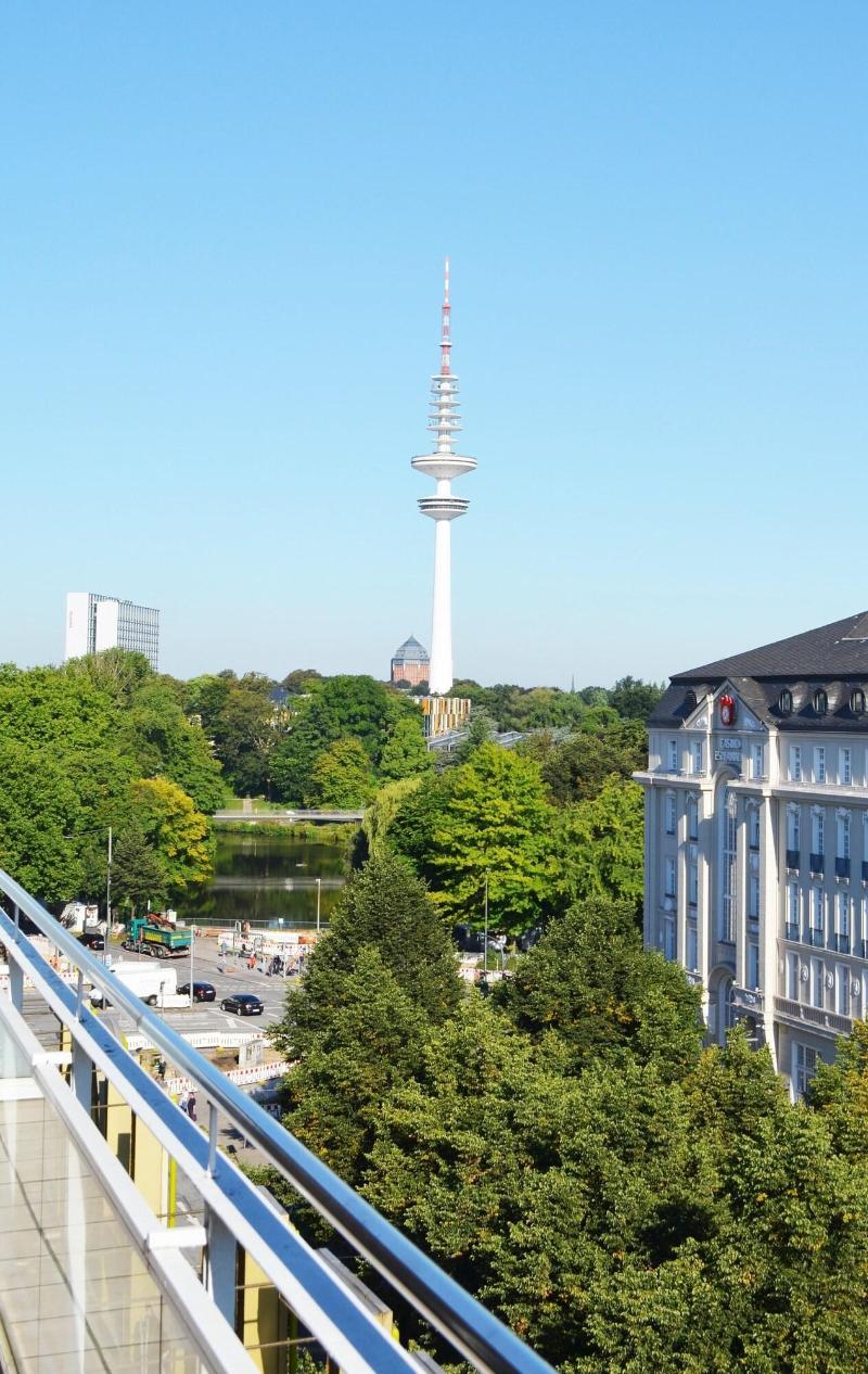Alster-Hof - Genel
