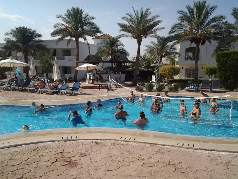 Viva Sharm Hotel - Aktivite