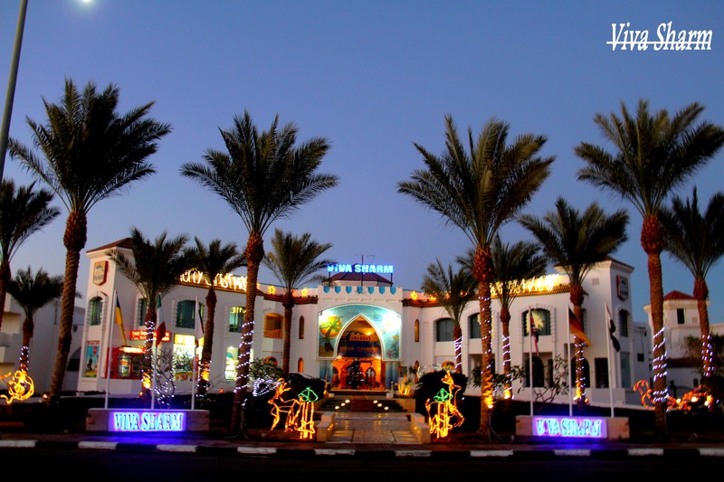 Viva Sharm Hotel - Genel