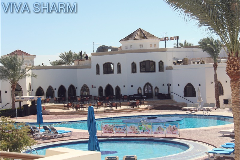 Viva Sharm Hotel - Havuz