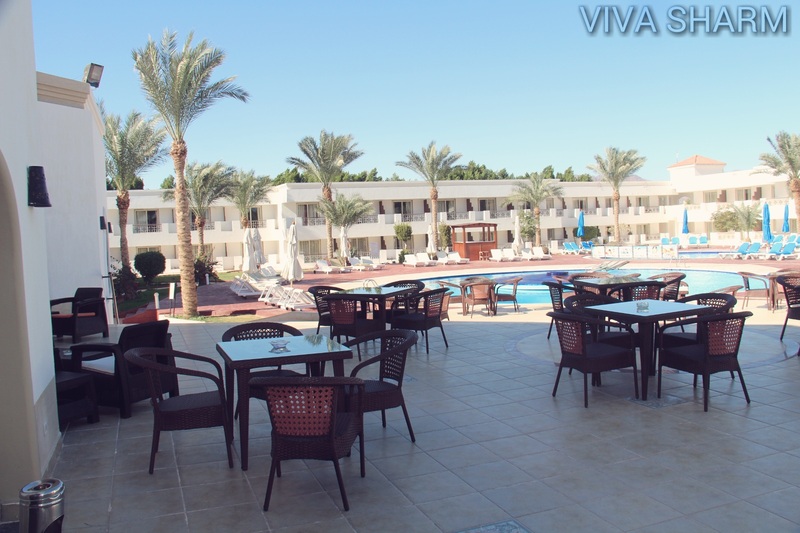 Viva Sharm Hotel - Teras