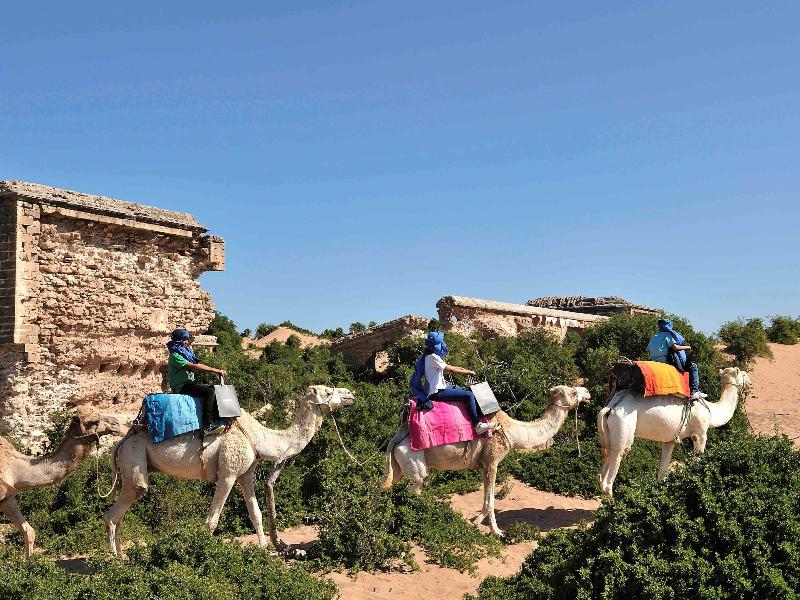 Hotel Le Golf D`Essaouira & Spa - Genel