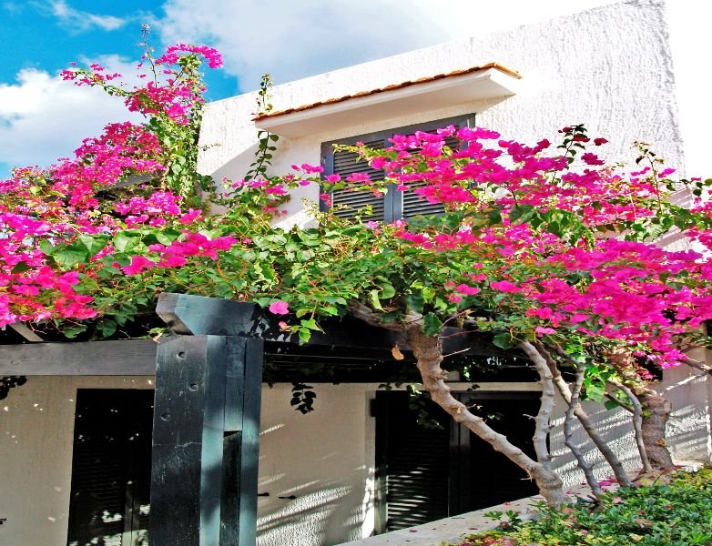 Anna Maria Village - Genel
