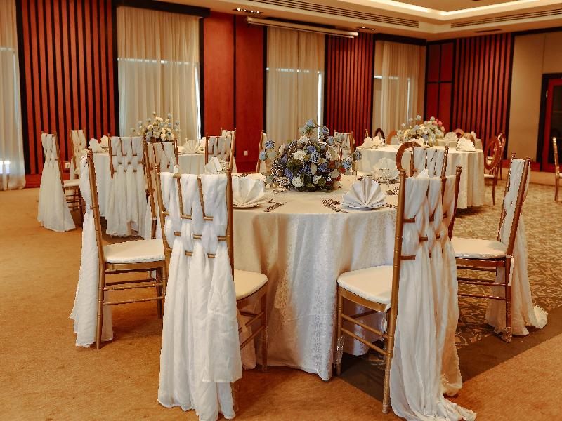 Radisson Blu Cairo Heliopolis - Toplantı