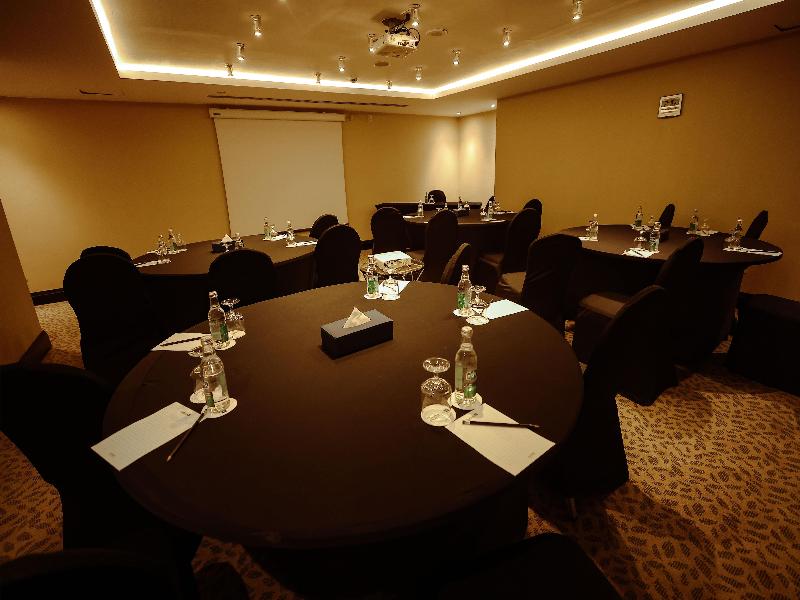 Radisson Blu Cairo Heliopolis - Toplantı