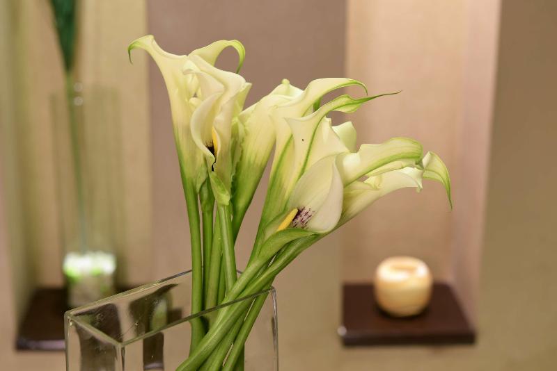 Radisson Blu Cairo Heliopolis - Aktivite