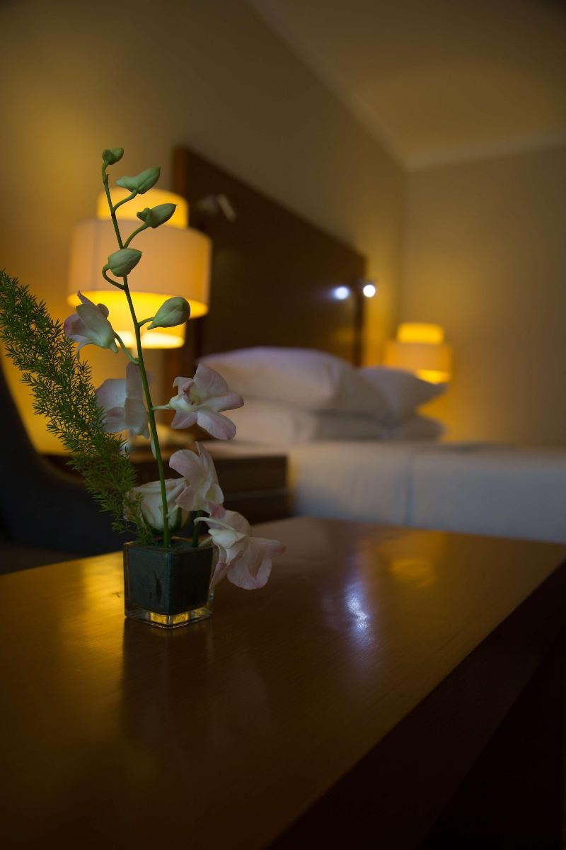 Radisson Blu Cairo Heliopolis - Genel