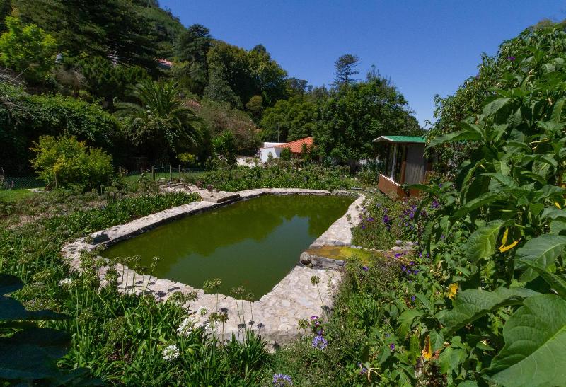 Quinta das Murtas - Genel