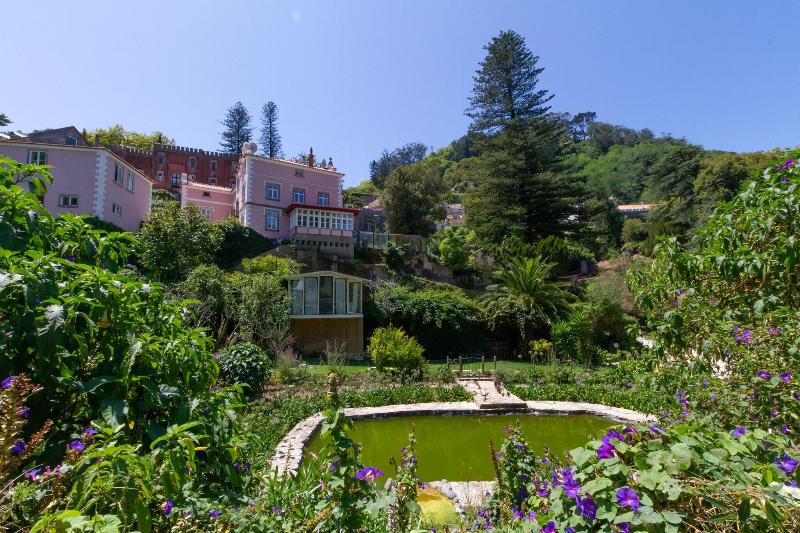 Quinta das Murtas - Teras