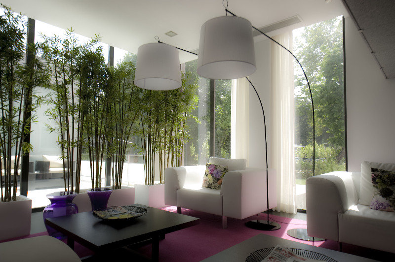 Primavera Perfume Hotel fotoÄŸrafÄ±