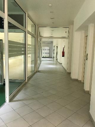 Francis fotoÄŸrafÄ±