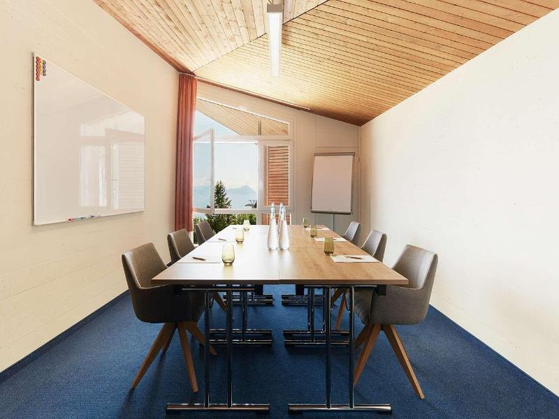 Hotel Rigi Kaltbad - Toplantı