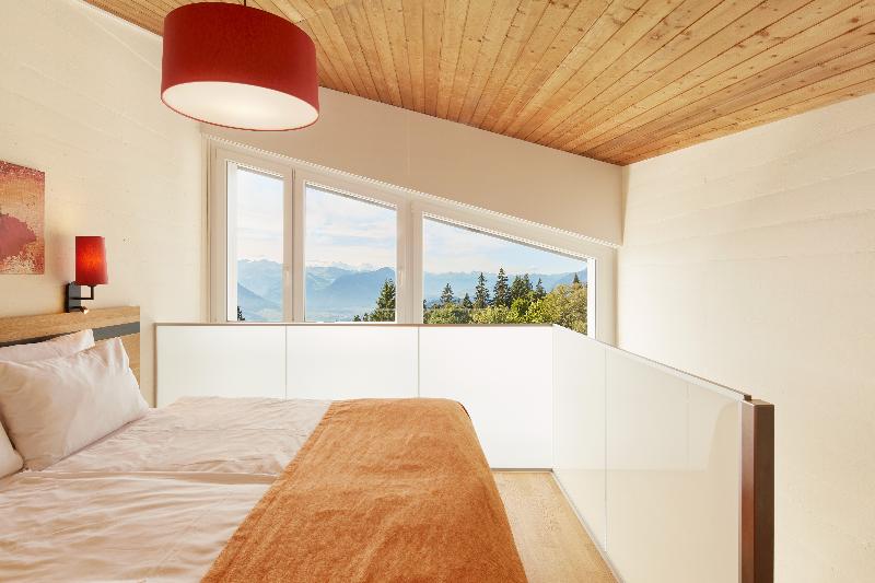 Hotel Rigi Kaltbad - Oda