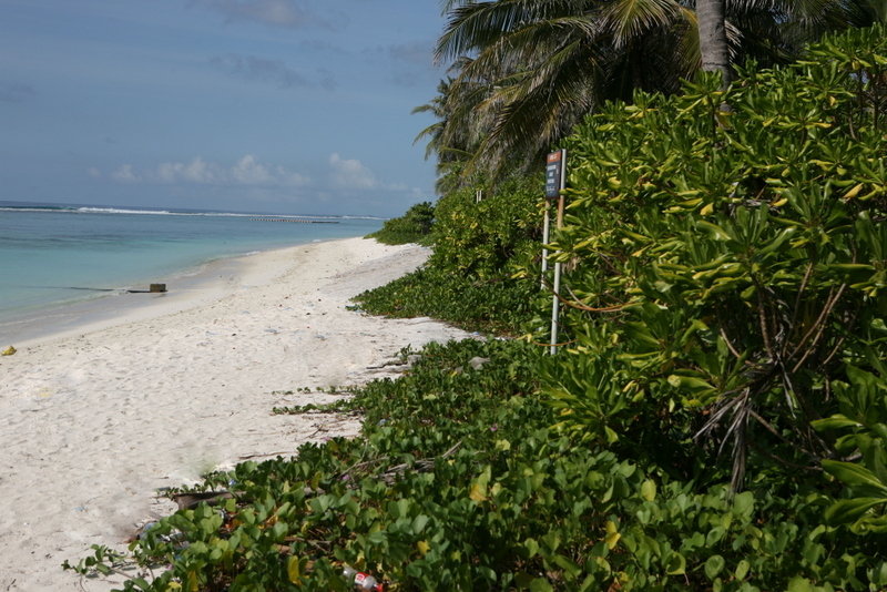 Ripple Beach Inn fotoÄŸrafÄ±