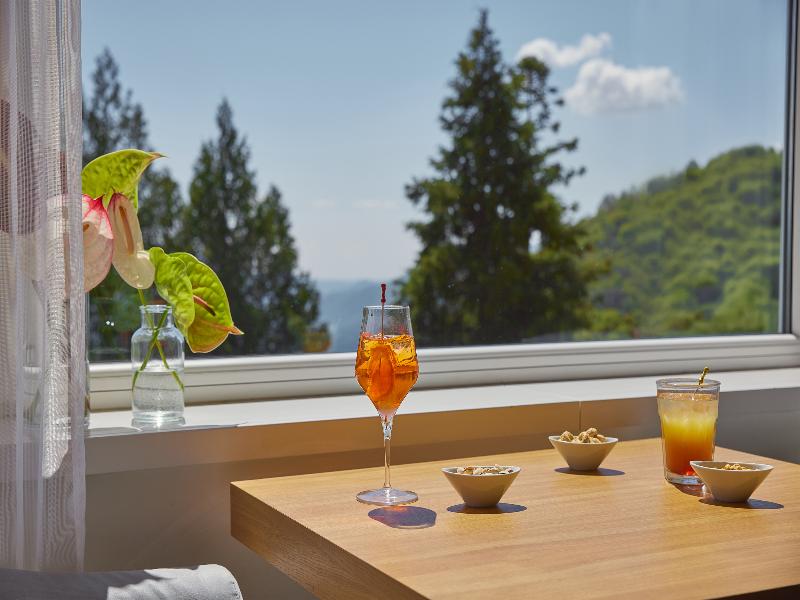 Kurhaus Cademario - Adults only - Bar