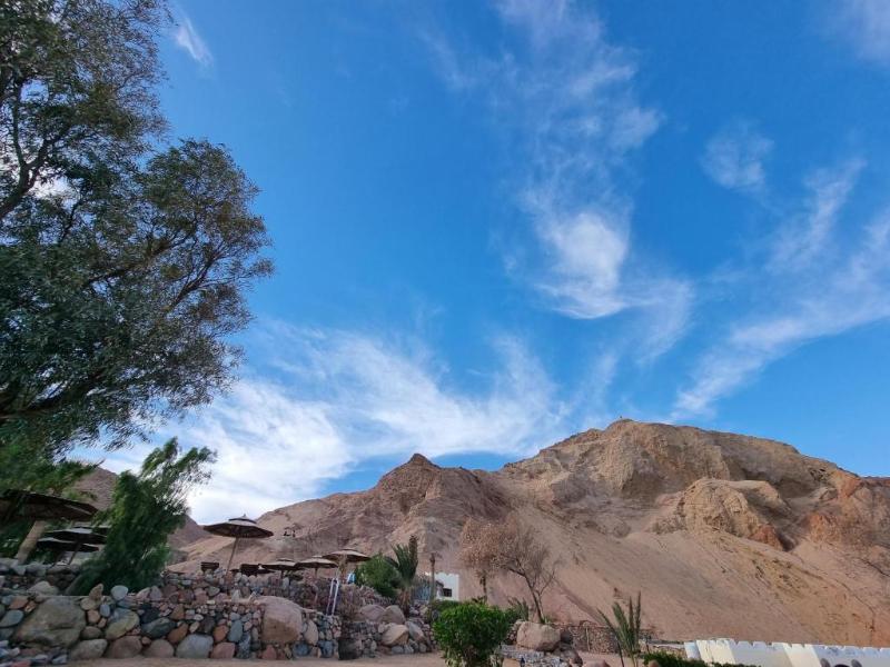 Bedouin Moon Hotel - Genel