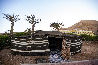 Bedouin Moon Hotel fotoÄŸrafÄ±