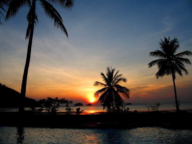 Phangka Paradise Resort Samui fotoÄŸrafÄ±