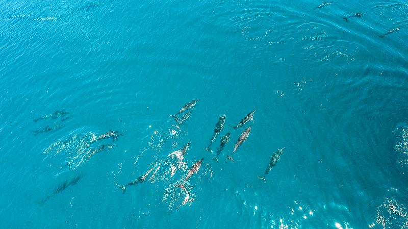 Kihaa Maldives - Aktivite