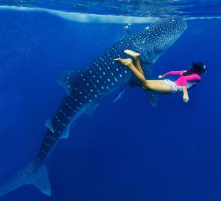 Kihaa Maldives fotoÄŸrafÄ±