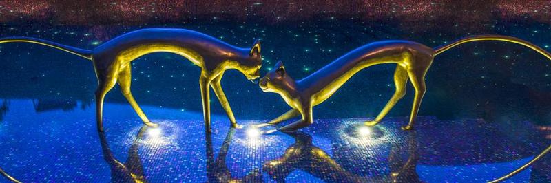 W Bangkok - Genel