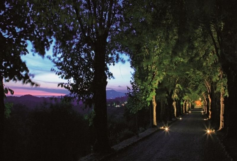 Borgo Di Colleoli Resort - Genel