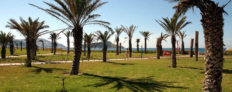 Dar Ismail Tabarka - Genel