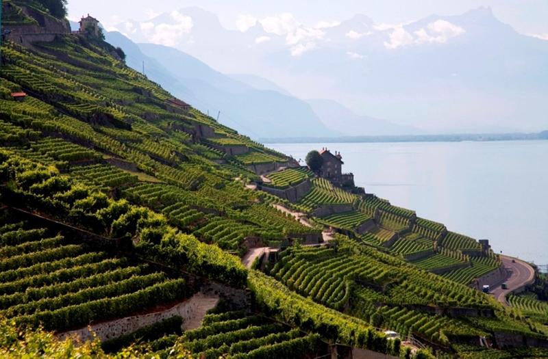 Hotel Lavaux - Genel