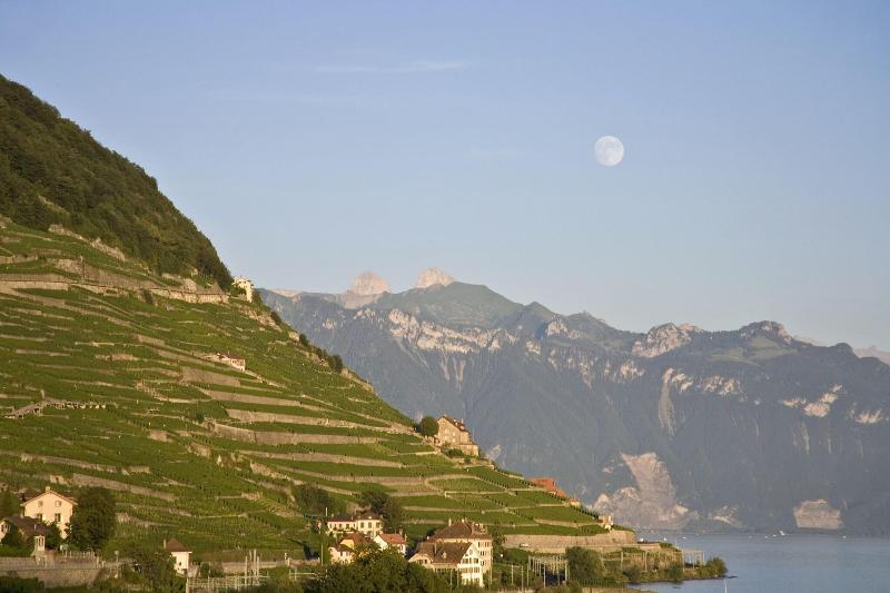 Hotel Lavaux - Genel