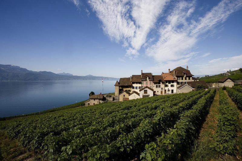 Hotel Lavaux - Genel