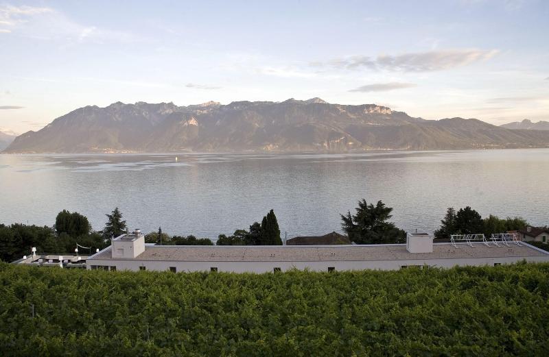 Hotel Lavaux - Genel