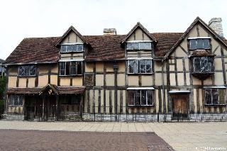 The Warwick Hotel fotoÄŸrafÄ±