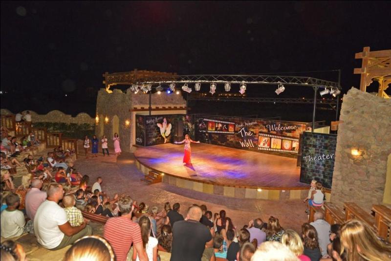 Charmillion Club Aqua Park - Genel