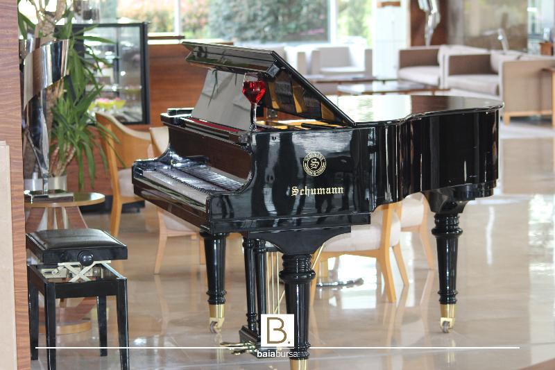 Baia Bursa Hotel - Lobi