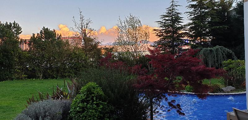 Baia Bursa Hotel - Teras