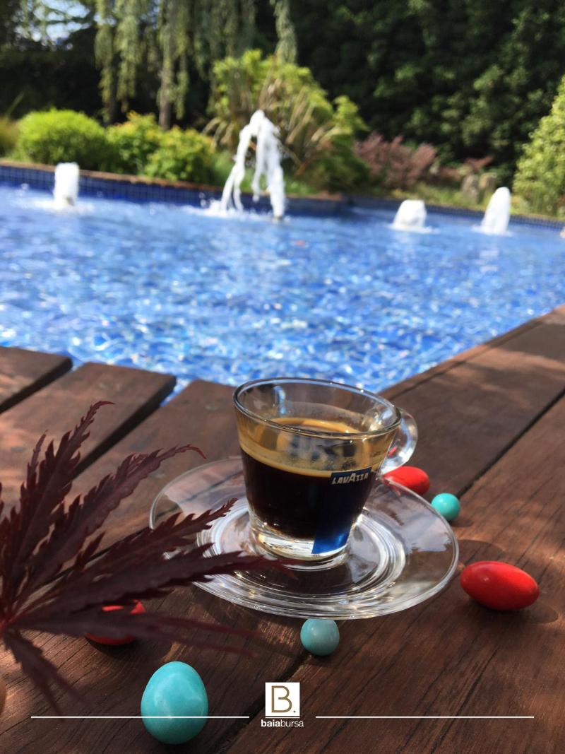 Baia Bursa Hotel - Teras