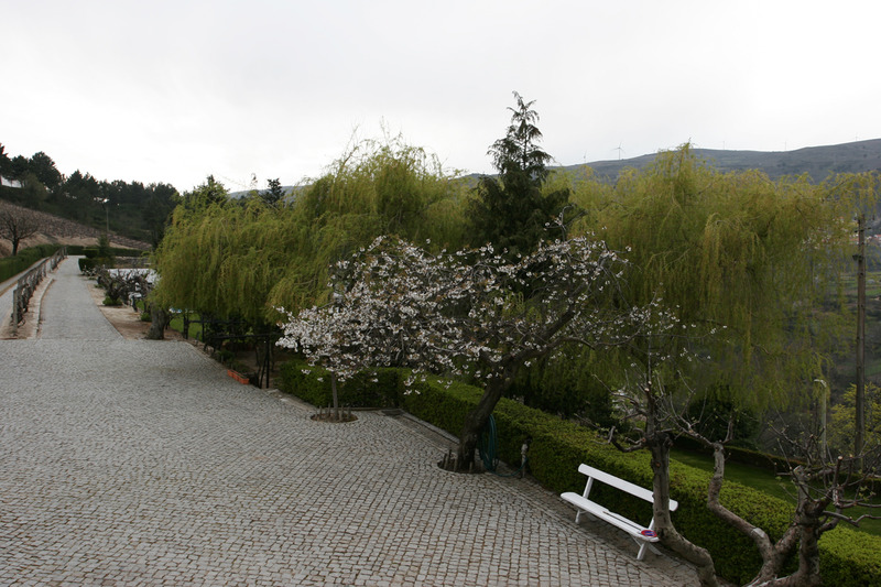 Quinta da Timpeira - Genel
