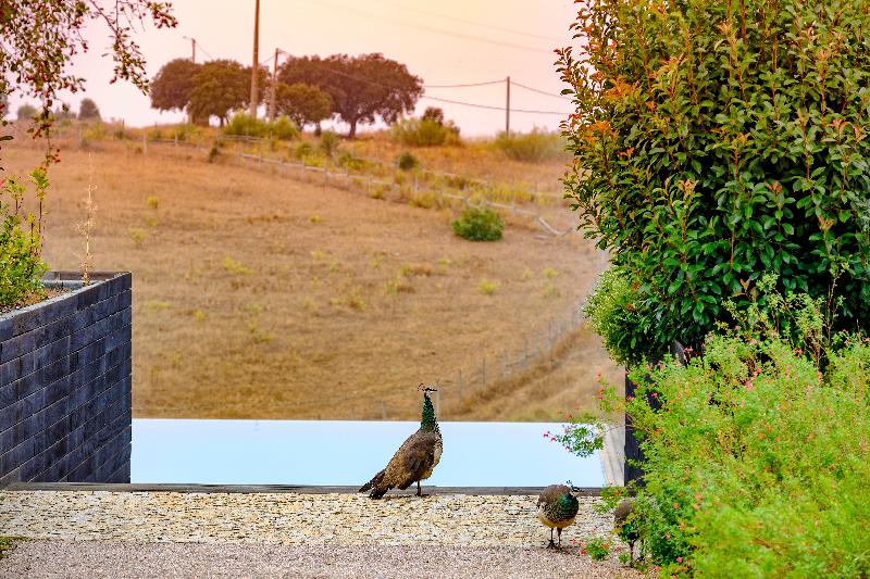 Herdade da Cortesia Hotel - Genel