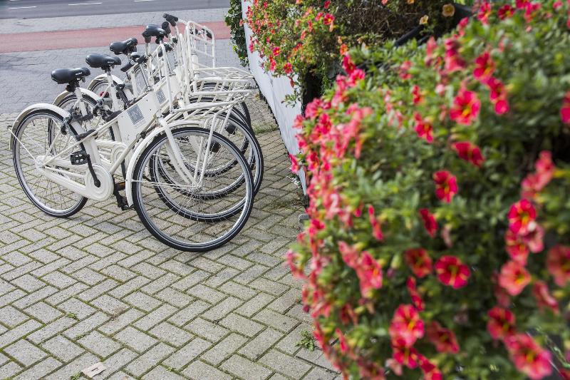 Stadsvilla Hotel Mozaic Den Haag - Aktivite