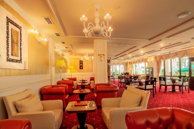 Georgia Palace Hotel & SPA - Bar
