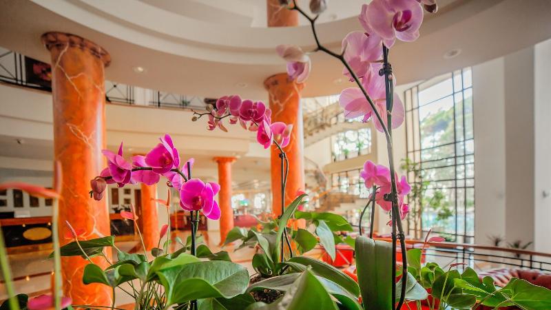 Georgia Palace Hotel & SPA - Lobi