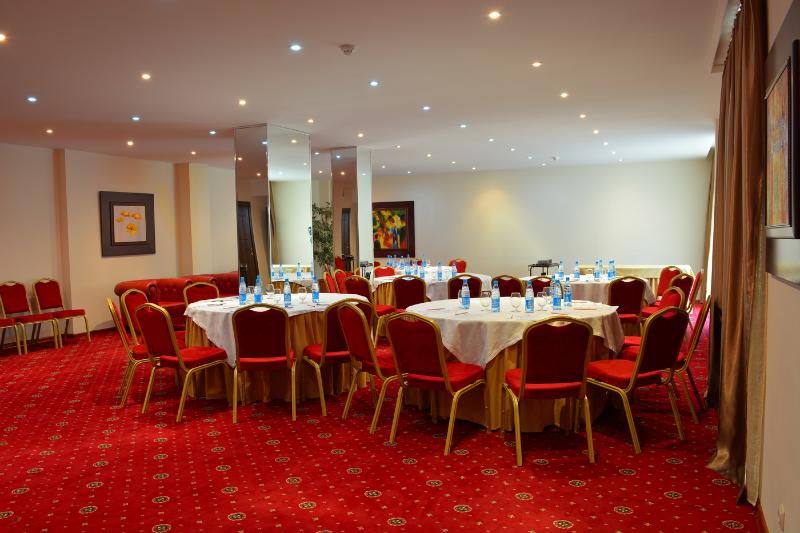 Georgia Palace Hotel & SPA - Toplantı