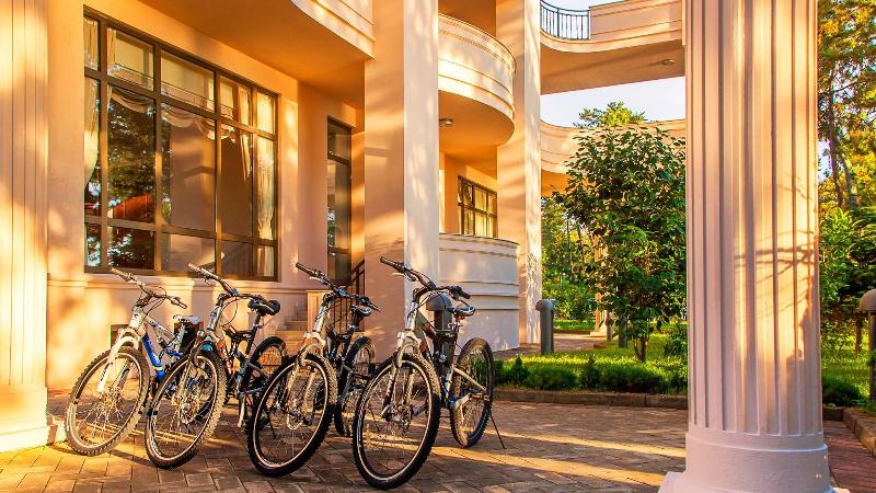 Georgia Palace Hotel & SPA - Aktivite