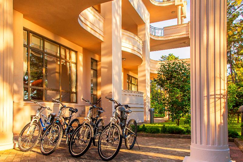 Georgia Palace Hotel & SPA - Aktivite