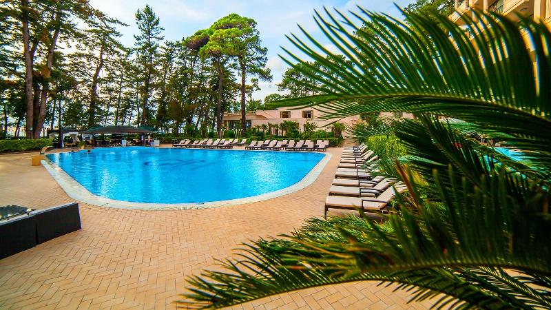Georgia Palace Hotel & SPA - Genel