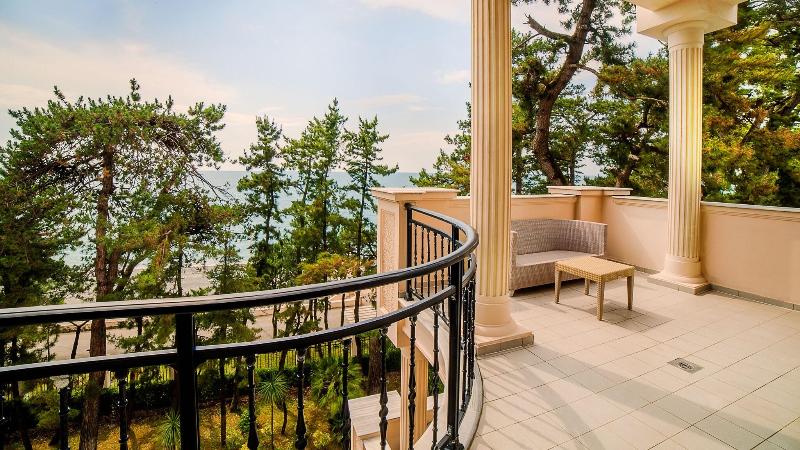 Georgia Palace Hotel & SPA - Genel